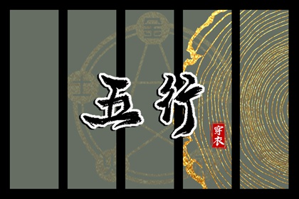 数字化五行参考用法